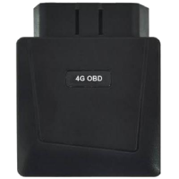 Rayone OBD 4G