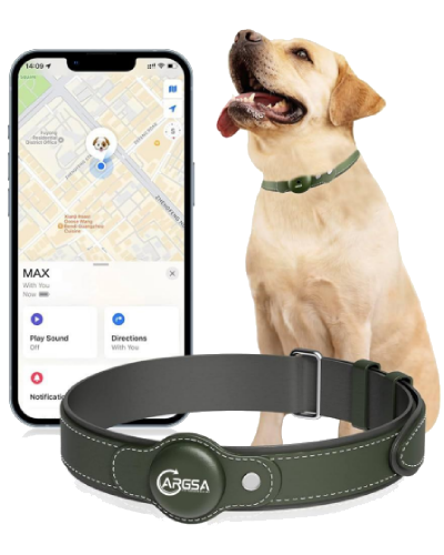 Magnetic GPS